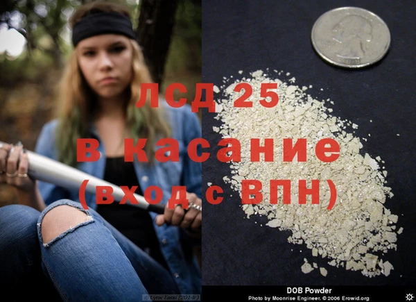 винт Михайлов