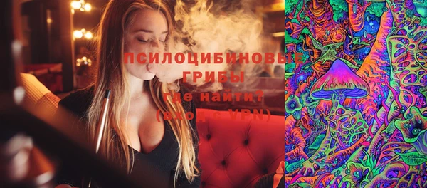 винт Михайлов