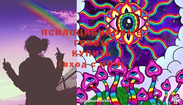 винт Михайлов